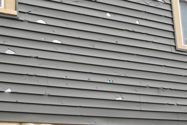 Best Wood Siding Installation  in Enterprise, UT